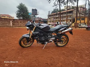 Triumph 2011 Black