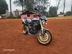 Triumph 2011 Black