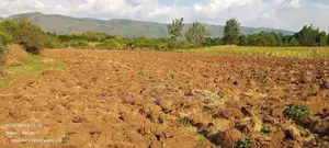 2 ACRES WITH a 3 Rooms HOUSE in Lower Subukia Nakuru C