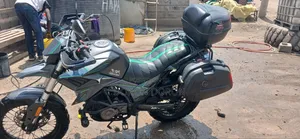 Tekken Forza 250 2023 Green