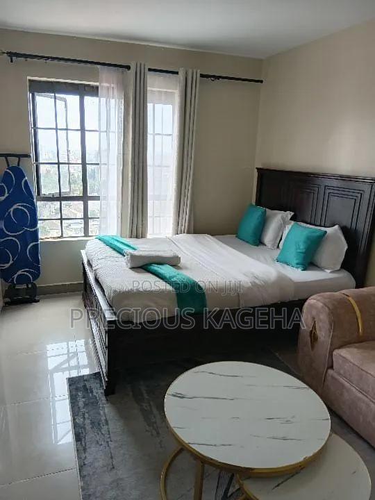 Studio Apartment - main view