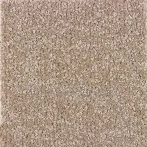 Beige Standard Wall to Wall Carpet