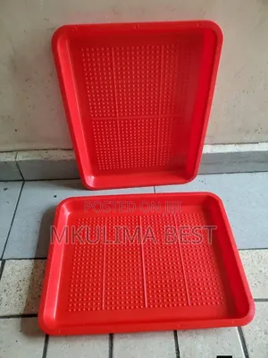 Rectangular Feeding Trays