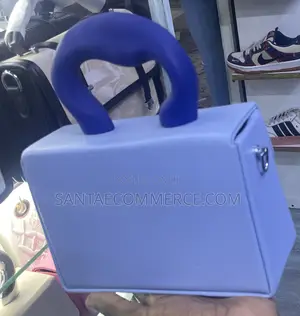 Zara Box Bag