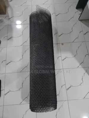 Expandable Mesh