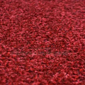Red Standard Wall to Wall Carpet