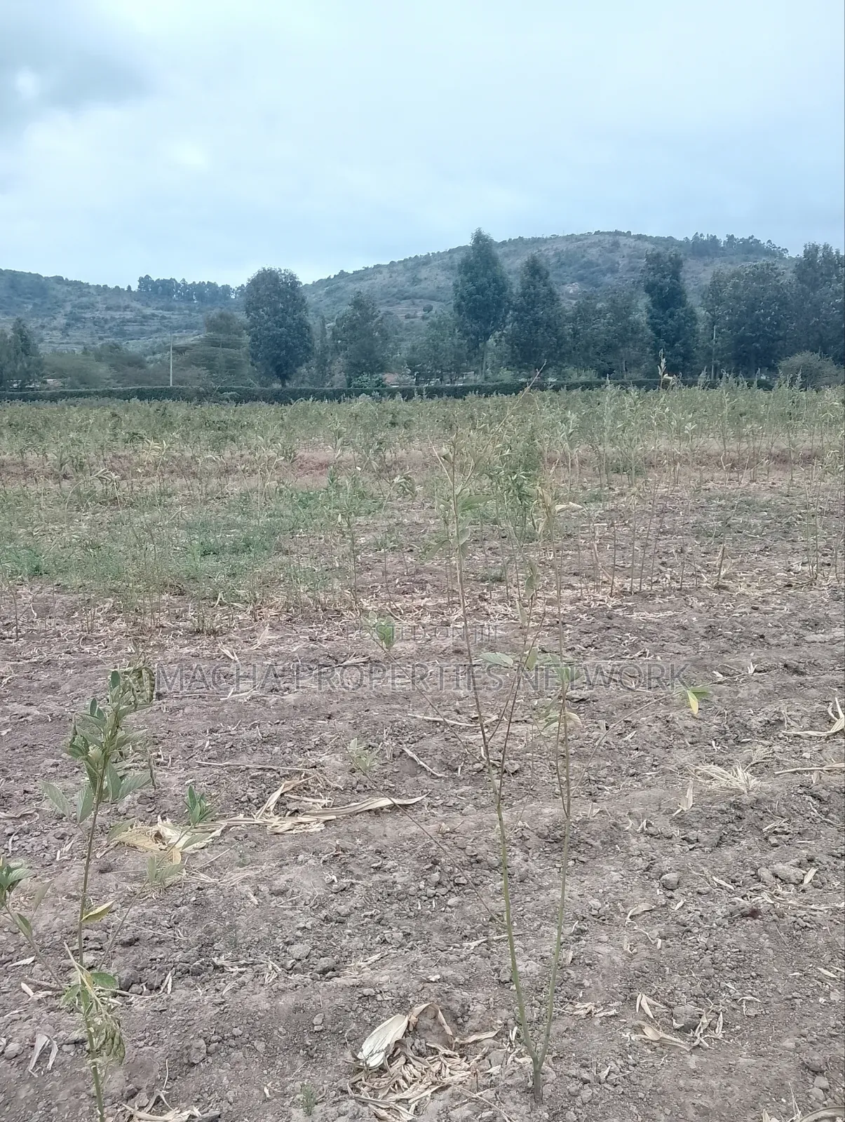 3 Acres Machakos-Mutituni Slopes of Mua Hills
