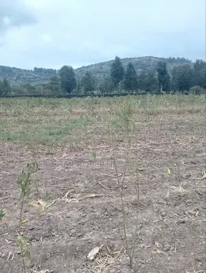 3 Acres Machakos-Mutituni Slopes of Mua Hills