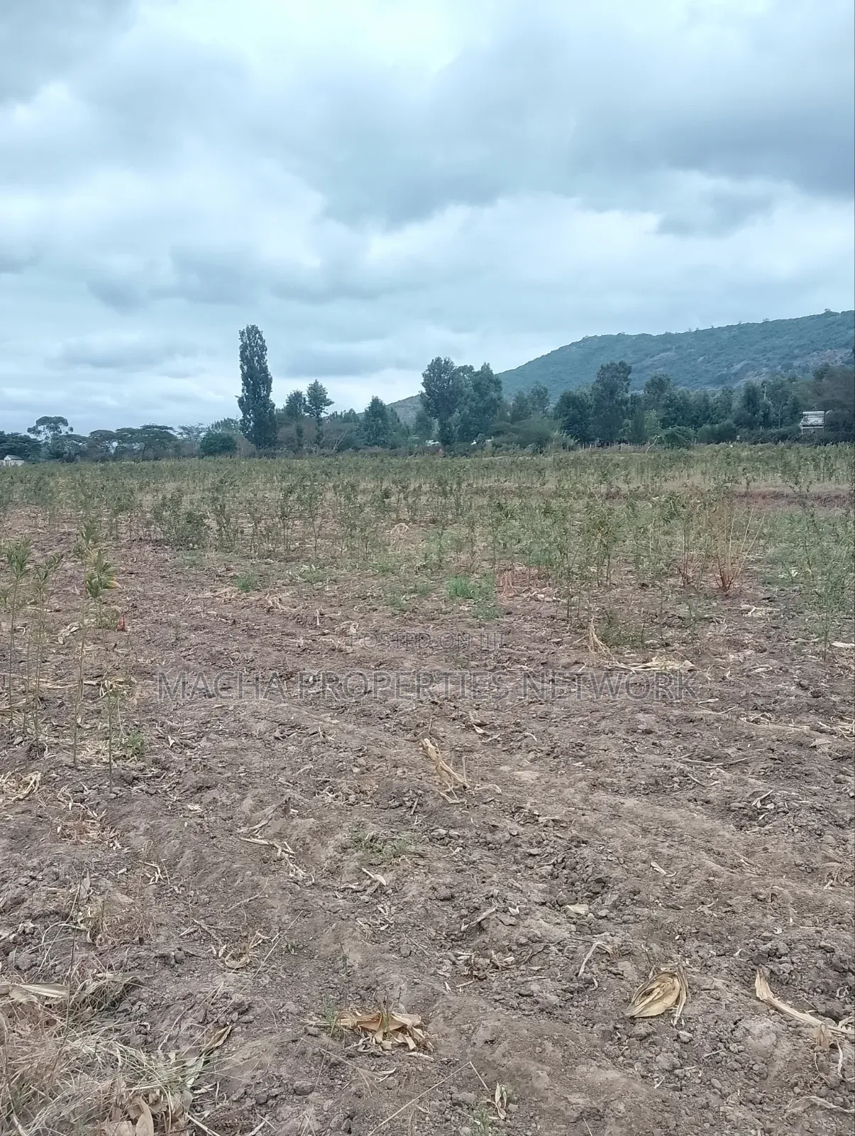 3 Acres Machakos-Mutituni Slopes of Mua Hills