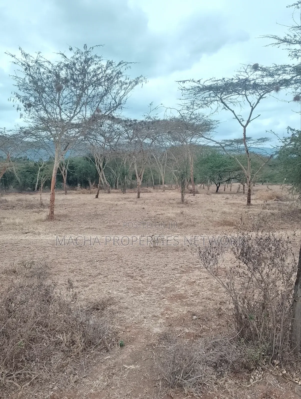 3 Acres Machakos-Mutituni Slopes of Mua Hills