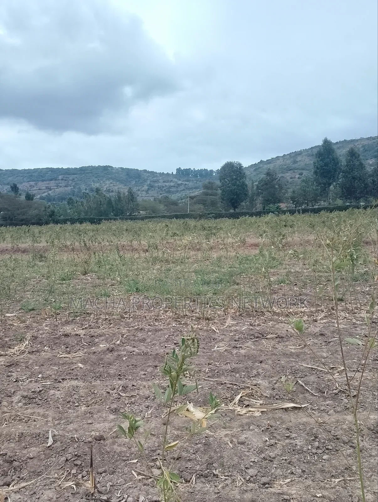 3 Acres Machakos-Mutituni Slopes of Mua Hills