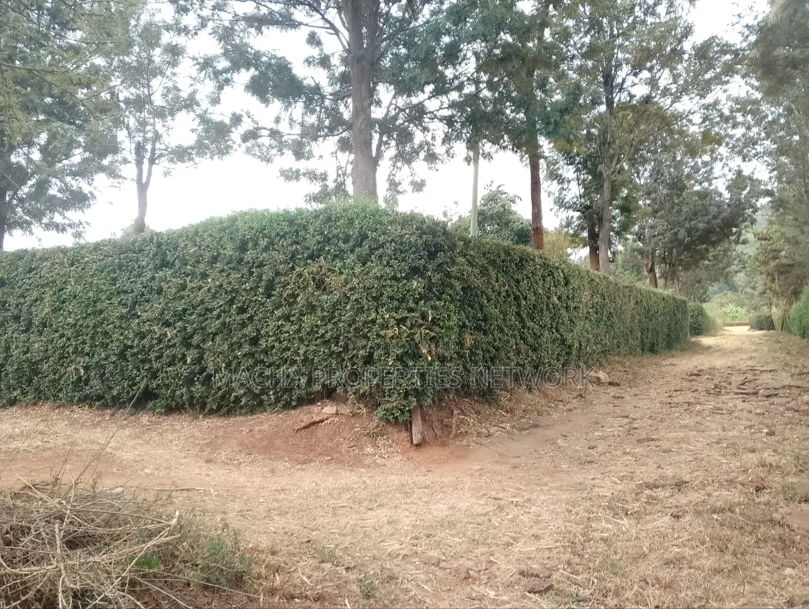 3 Acres Machakos-Mutituni Slopes of Mua Hills