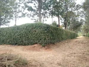 3 Acres Machakos-Mutituni Slopes of Mua Hills