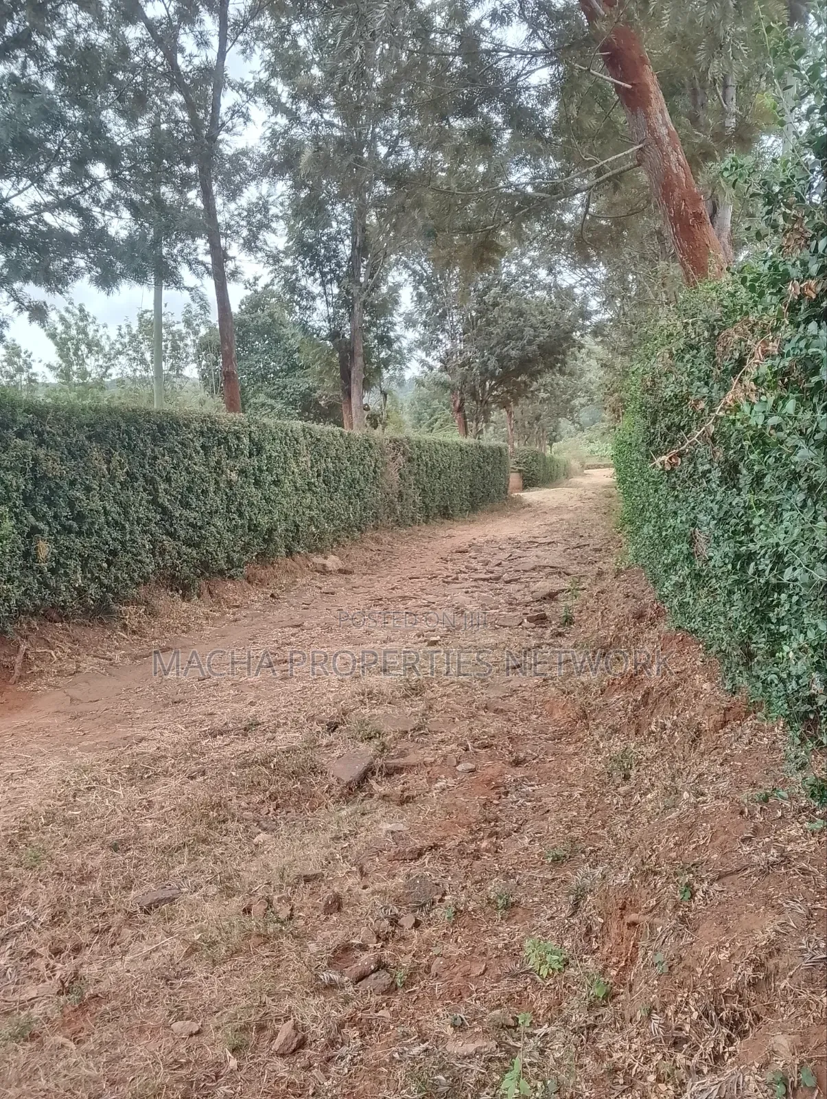 3 Acres Machakos-Mutituni Slopes of Mua Hills