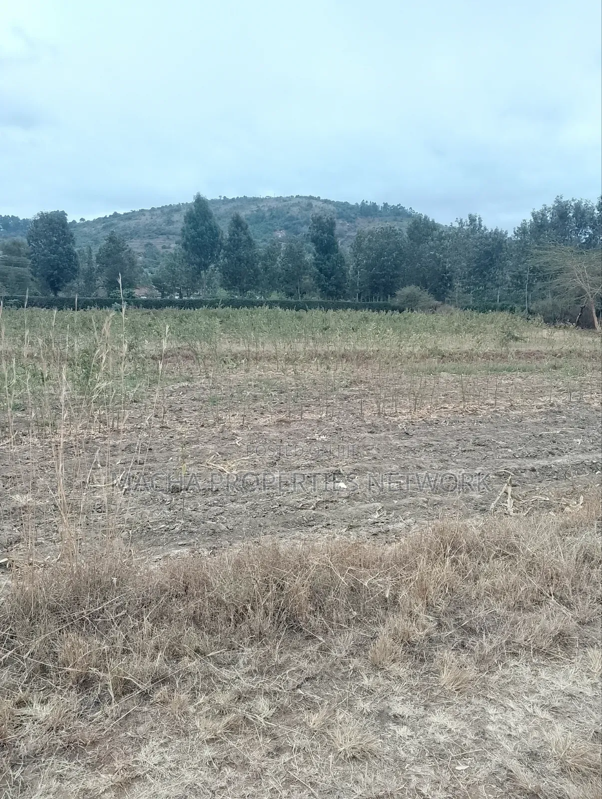 3 Acres Machakos-Mutituni Slopes of Mua Hills