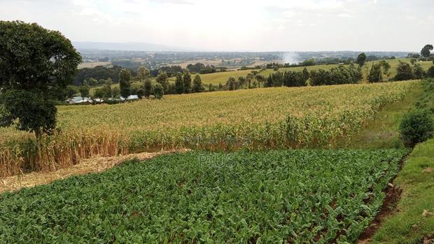 2.5acre Farming Land at Murunyu Nakuru 2.5m Each - thumbnail 3