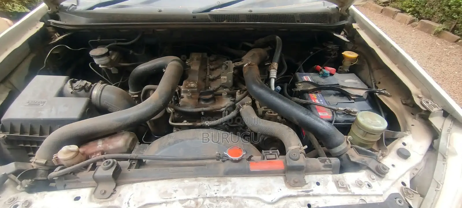 Isuzu D-MAX 2013 White
