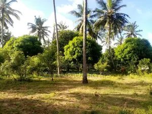One Acre Vacant Plot for Sale in Gede Along Gede-Watamu Road