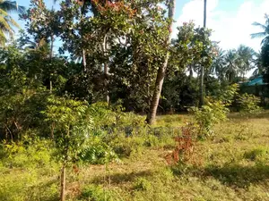 One Acre Vacant Plot for Sale in Gede Along Gede-Watamu Road