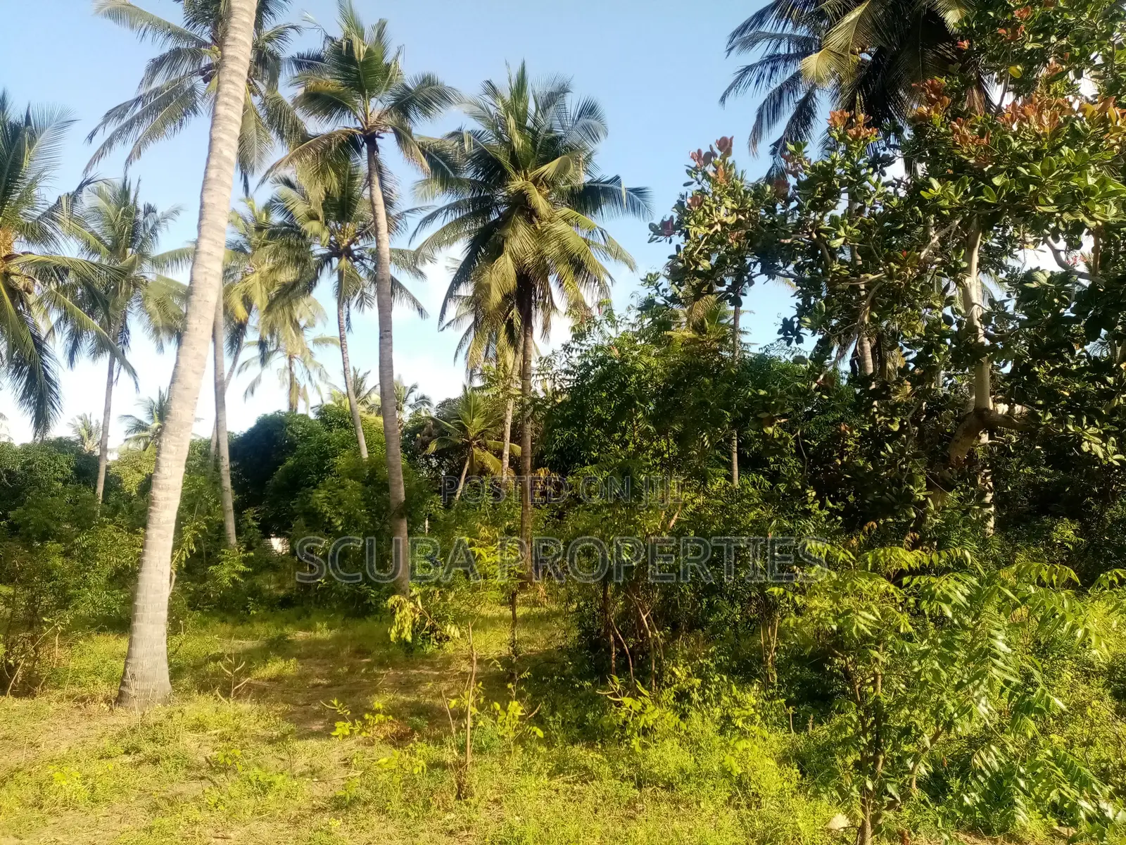 One Acre Vacant Plot for Sale in Gede Along Gede-Watamu Road