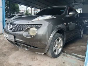 Nissan Juke 2014 Gray