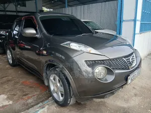 Nissan Juke 2014 Gray