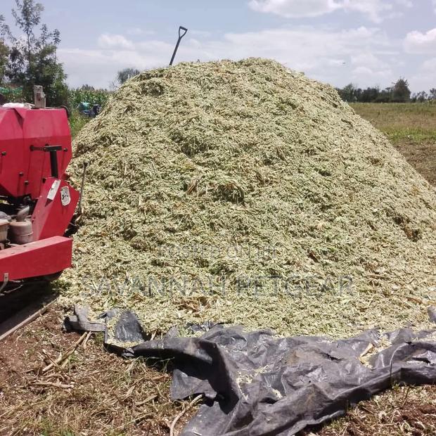 Wrapped, Cylindrical Silage Bales Livestock Feed - Per 60 Kg