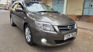 Toyota Corolla Fielder 2010 Gray
