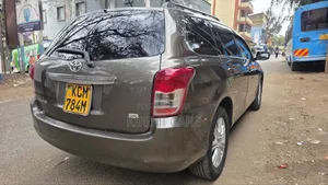 Toyota Corolla Fielder 2010 Gray