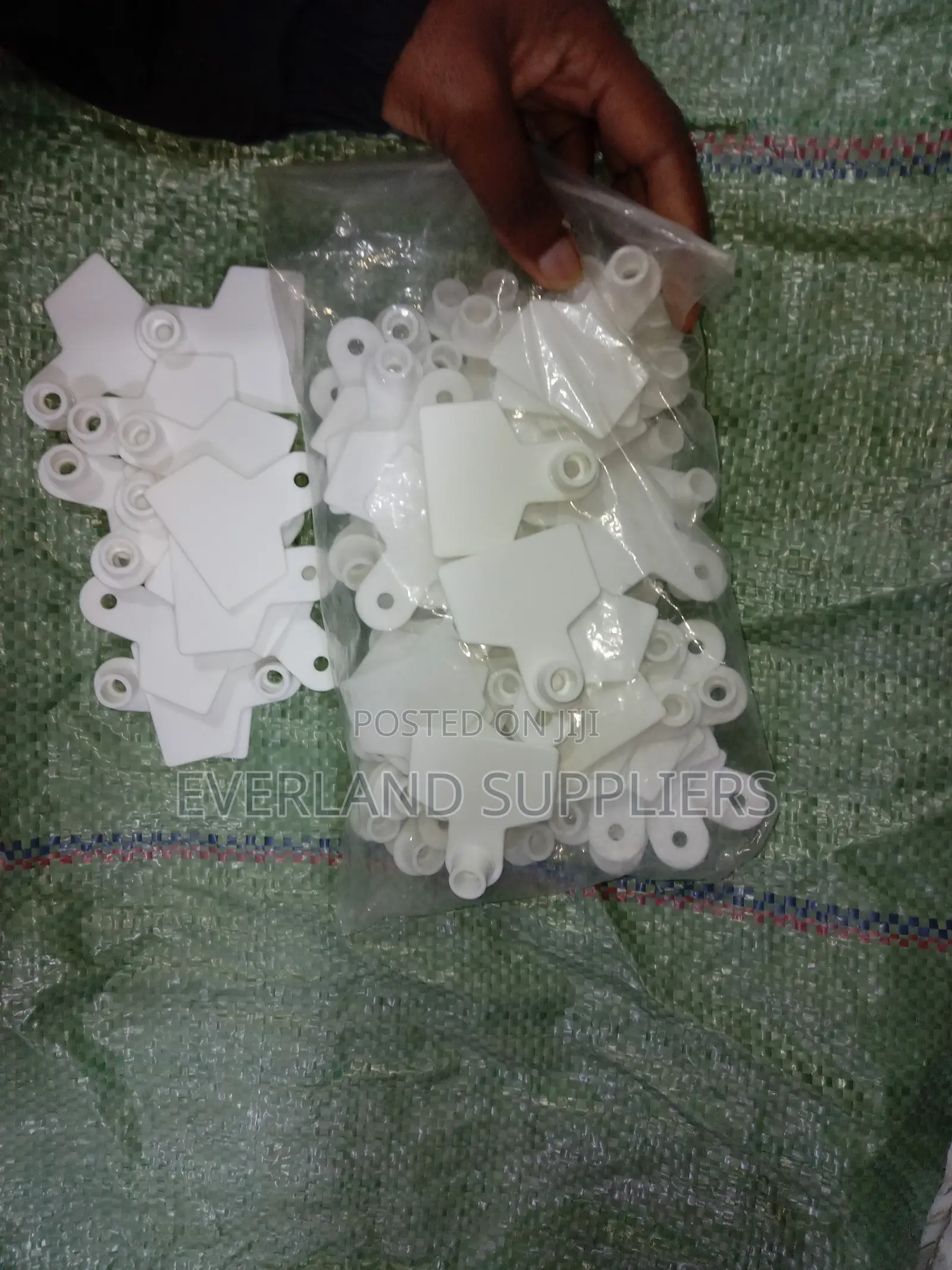 Ear Tags - Clear Management (Pack)