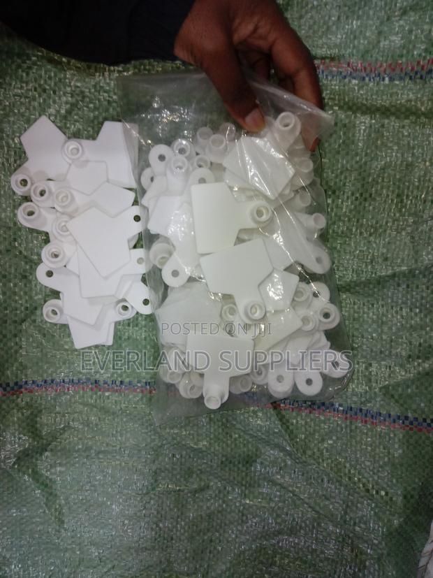 Ear Tags - Clear Management (Pack)
