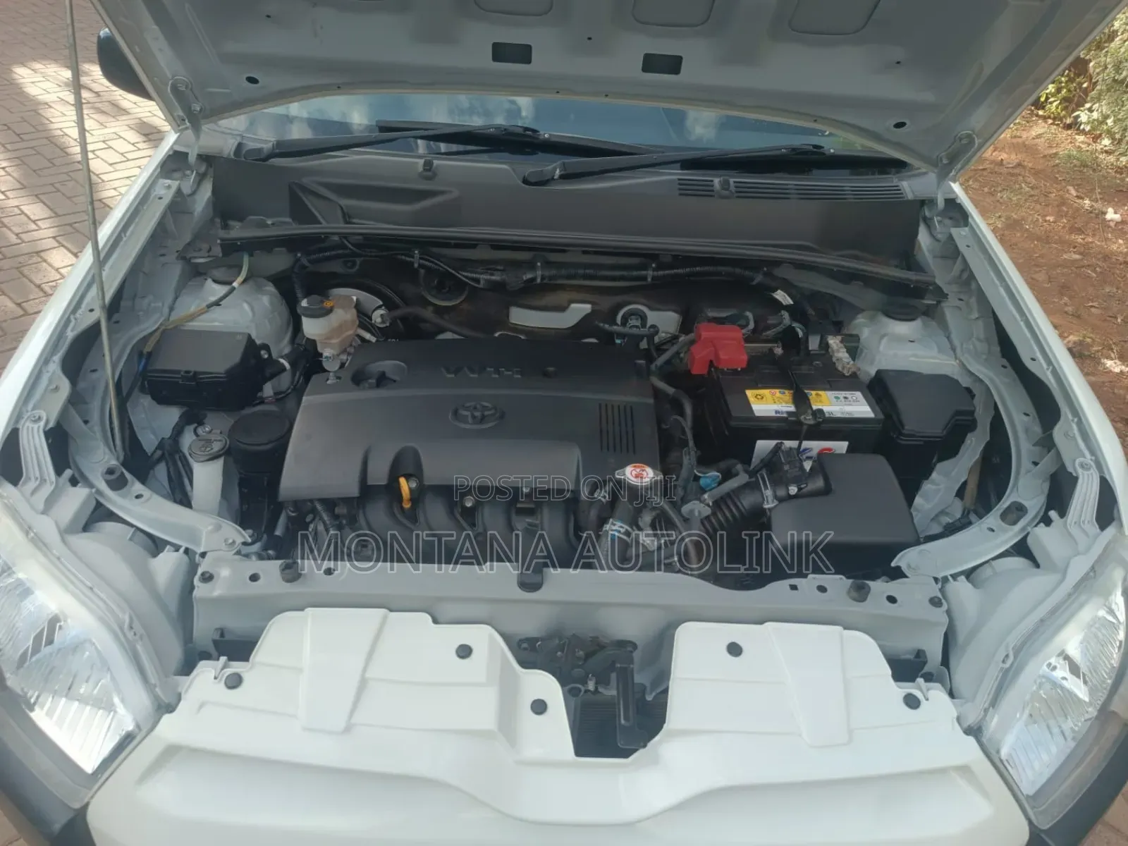 Toyota Succeed 2019 White