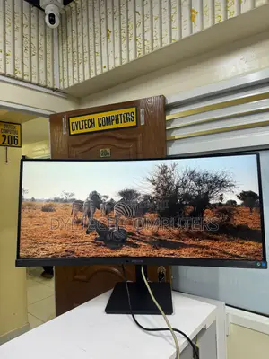 Philips 24 Inch Monitor
