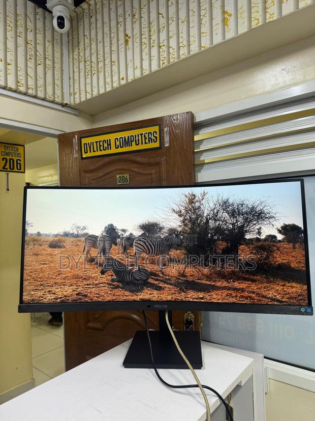 Philips 24 Inch Monitor