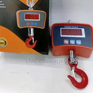 Heavy Duty Commercial Scale/ 500kg Crane Scale