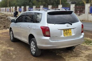 Toyota Corolla Fielder 2007 Silver