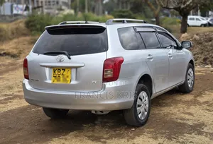 Toyota Corolla Fielder 2007 Silver