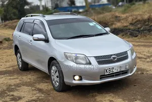 Toyota Corolla Fielder 2007 Silver