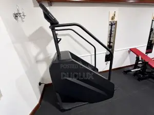Professional Stair Master (Premium)