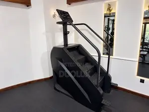 Professional Stair Master (Premium)