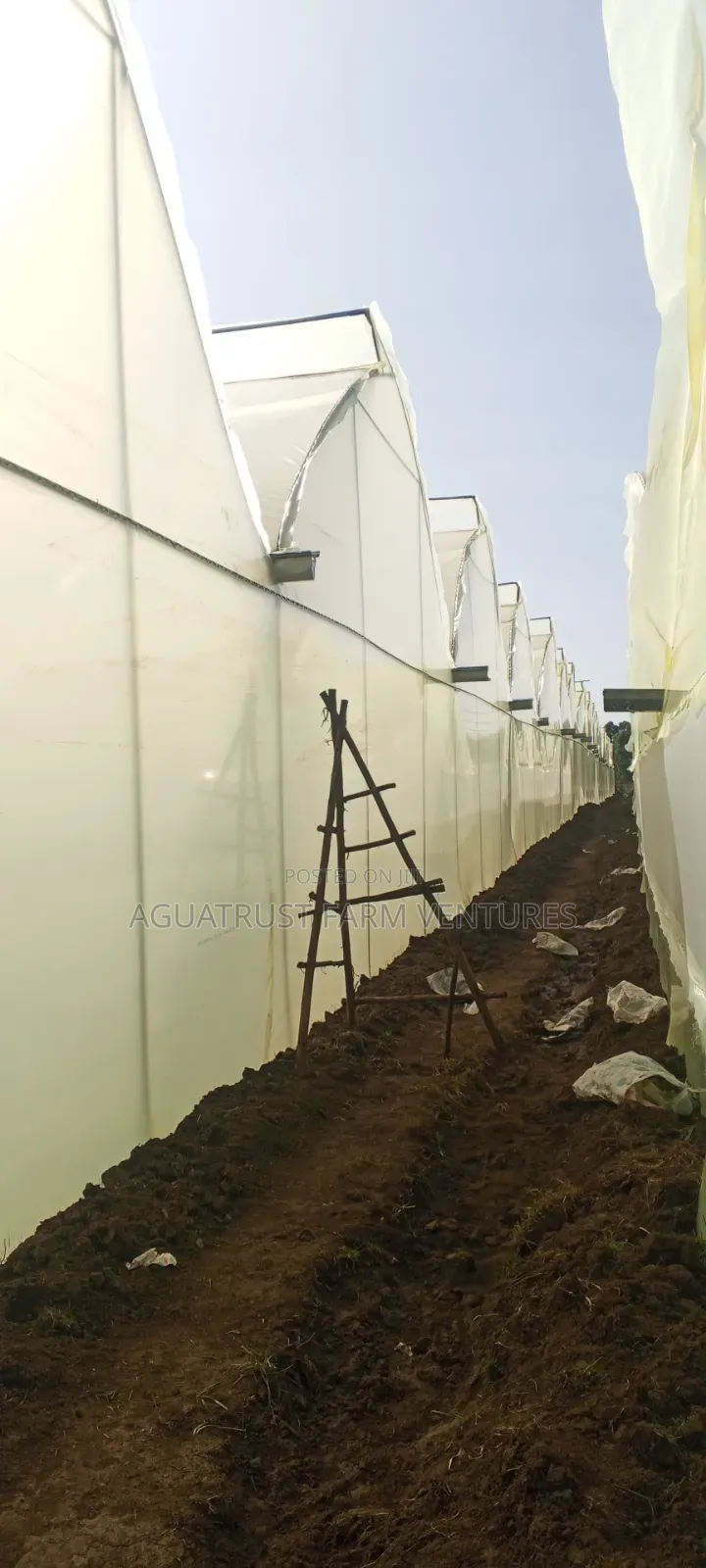Greenhouse Installation