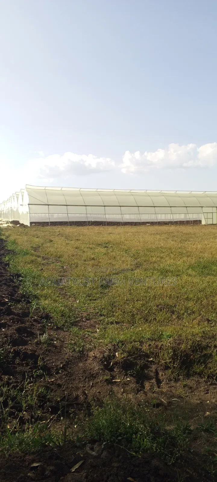 Greenhouse Installation