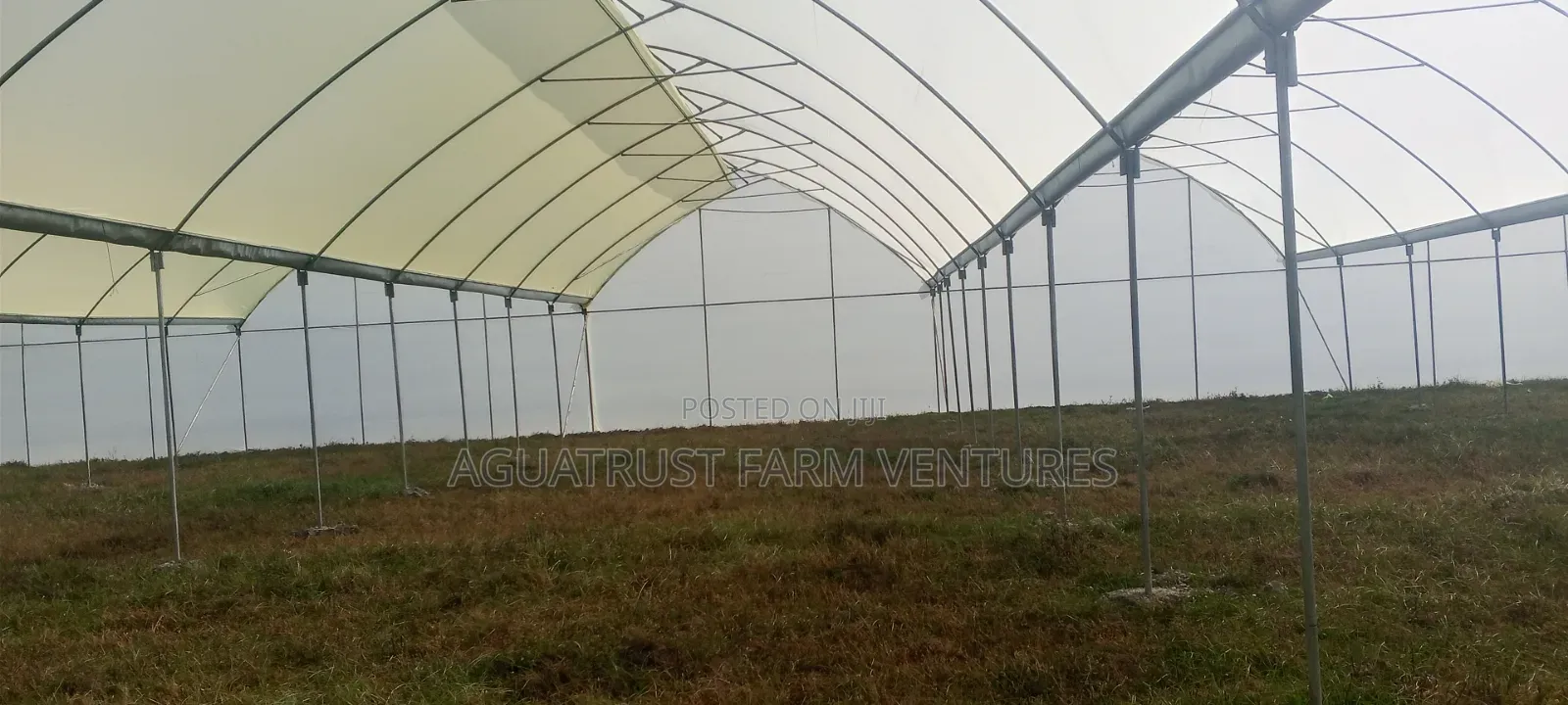Greenhouse Installation