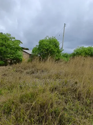 Selling Land Kundutsi 1acre 2,000,000/