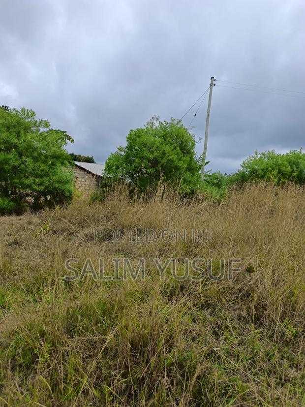 Selling Land Kundutsi 1acre 2,000,000/ - thumbnail 2