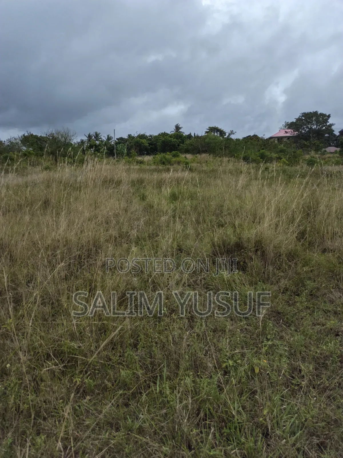 Selling Land Kundutsi 1acre 2,000,000/