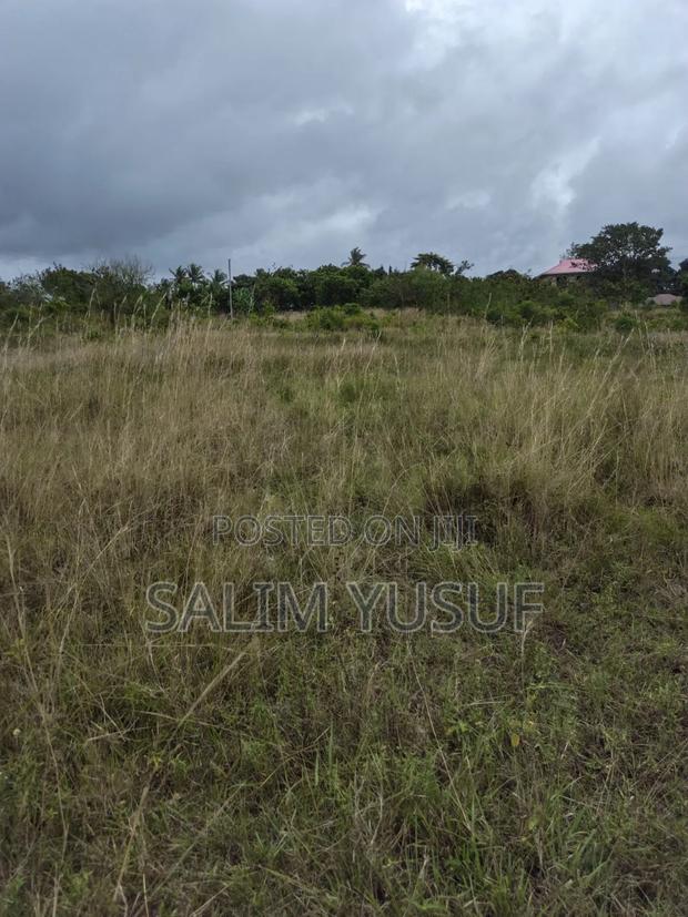 Selling Land Kundutsi 1acre 2,000,000/ - thumbnail 4
