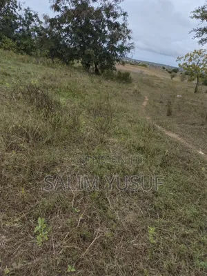 Selling Land Kundutsi 1acre 2,000,000/