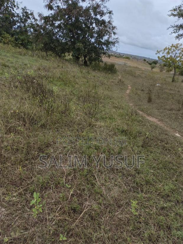 Selling Land Kundutsi 1acre 2,000,000/ - thumbnail 5