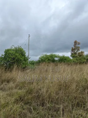 Selling Land Kundutsi 1acre 2,000,000/